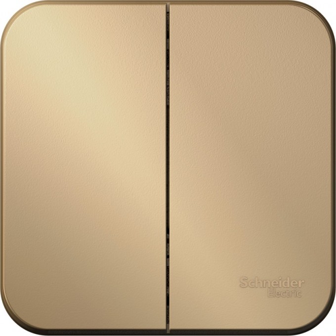 2-клавишный выключатель SCHNEIDER ELECTRIC BLANCA 10А, 250B, ТИТАН BLNVA105004 2-клавишный выключатель SCHNEIDER ELECTRIC BLANCA 10А, 250B, ТИТАН BLNVA105004