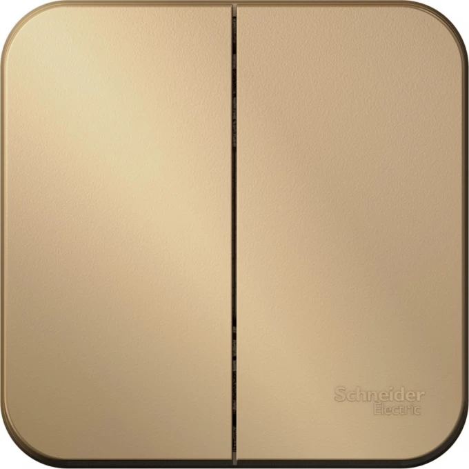 2-клавишный выключатель SCHNEIDER ELECTRIC BLANCA 10А, 250B, ТИТАН BLNVA105004