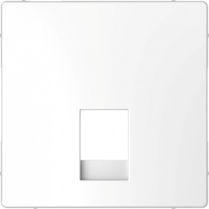 Центральная накладка SCHNEIDER ELECTRIC MERTEN D-LIFE для розетки 2-ной RJ11/RJ12, БЕЛ. ЛОТОС MTN4215-6035 Центральная накладка SCHNEIDER ELECTRIC MERTEN D-LIFE для розетки 2-ной RJ11/RJ12, БЕЛ. ЛОТОС MTN4215-6035