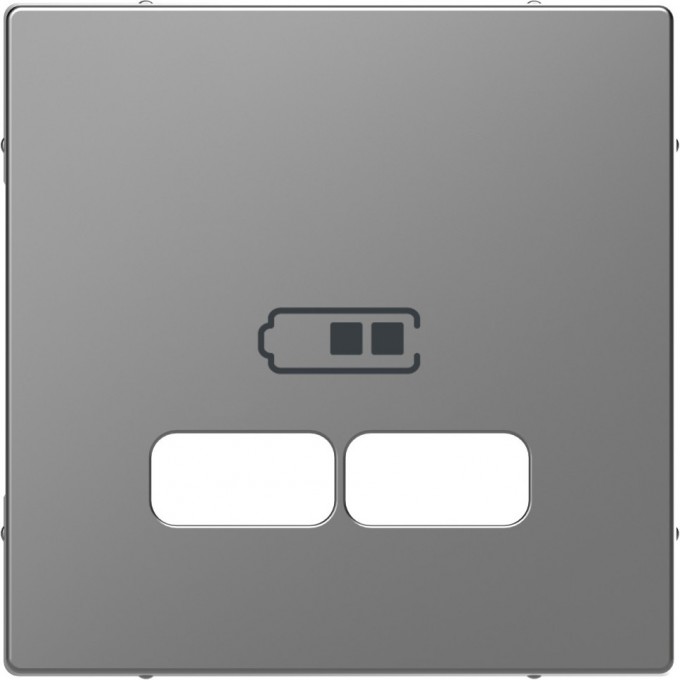 Центральная накладка SCHNEIDER ELECTRIC MERTEN D-LIFE для USB механизма 2,1А, НЕР.СТАЛЬ MTN4367-6036 Центральная накладка SCHNEIDER ELECTRIC MERTEN D-LIFE для USB механизма 2,1А, НЕР.СТАЛЬ MTN4367-6036