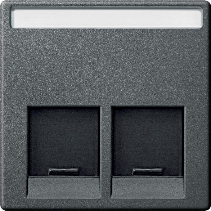 Центральная плата SCHNEIDER ELECTRIC MERTEN для розетки с разъемом RJ45 2 поста, АНТРАЦИТ, SM MTN466514 Центральная плата SCHNEIDER ELECTRIC MERTEN для розетки с разъемом RJ45 2 поста, АНТРАЦИТ, SM MTN466514