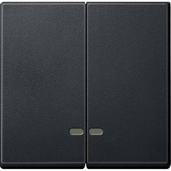 Клавиша двойная SCHNEIDER ELECTRIC MERTEN с окном для световой индикации, АНТРАЦИТ, SM MTN3420-0414 Клавиша двойная SCHNEIDER ELECTRIC MERTEN с окном для световой индикации, АНТРАЦИТ, SM MTN3420-0414