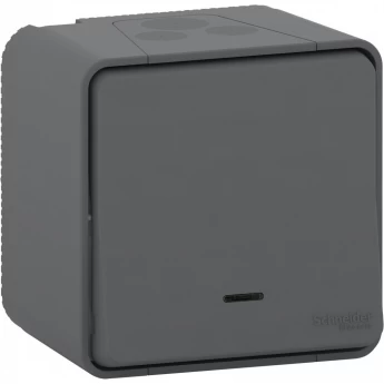 Переключатель SCHNEIDER ELECTRIC MUREVA S 1-клавишный, в сборе, О/У с подсветкой антрацит, IP55