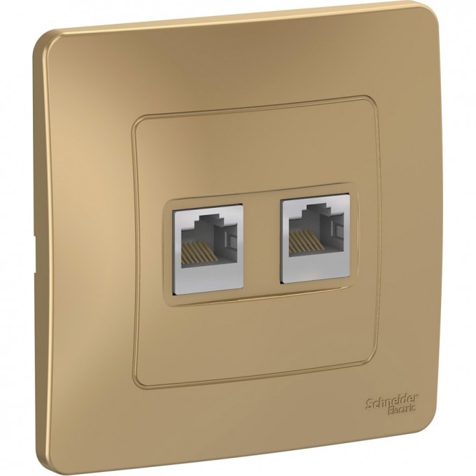Розетка двойная компьютерная SCHNEIDER ELECTRIC BLANCA с/у, RJ45, кат.5E, титан BLNIS045454 Розетка двойная компьютерная SCHNEIDER ELECTRIC BLANCA с/у, RJ45, кат.5E, титан BLNIS045454