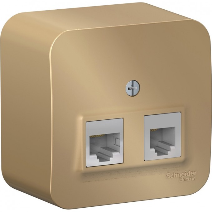Розетка двойная компьютерная/телефонная SCHNEIDER ELECTRIC BLANCA RJ45+RJ11, кат.5E, с изолирующей пластиной, титан BLNIA045114 Розетка двойная компьютерная/телефонная SCHNEIDER ELECTRIC BLANCA RJ45+RJ11, кат.5E, с изолирующей пластиной, титан BLNIA045114