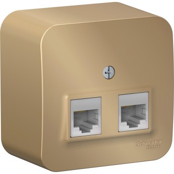 Розетка компьютерная двойная SCHNEIDER ELECTRIC BLANCA RJ45, кат.5E, с изолирующей пластиной, ТИТАН