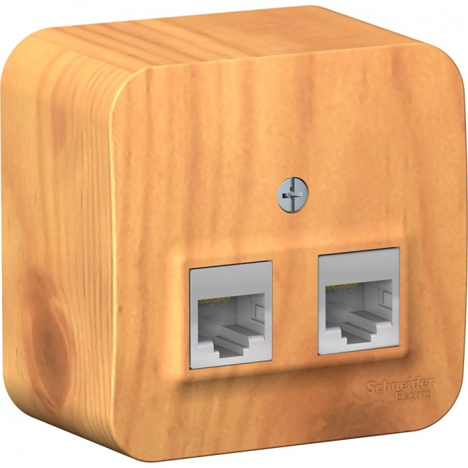 Розетка компьютерная двойная SCHNEIDER ELECTRIC BLANCA RJ45, кат.5E, с изолирующей пластиной, ЯСЕНЬ BLNIA045455 Розетка компьютерная двойная SCHNEIDER ELECTRIC BLANCA RJ45, кат.5E, с изолирующей пластиной, ЯСЕНЬ BLNIA045455