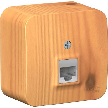Розетка компьютерная SCHNEIDER ELECTRIC BLANCA RJ45, кат.5E, с изолирующей пластиной, ЯСЕНЬ