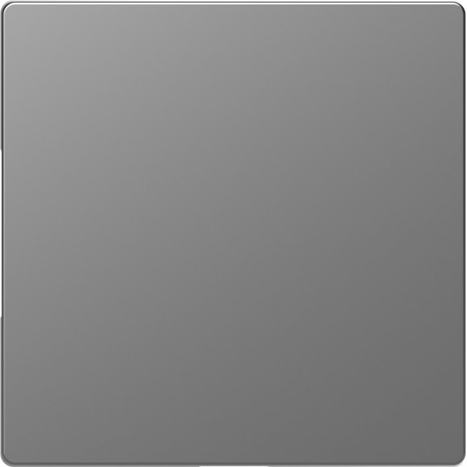 Заглушка SCHNEIDER ELECTRIC MERTEN D-LIFE, СТАЛЬ MTN4075-6036 Заглушка SCHNEIDER ELECTRIC MERTEN D-LIFE, СТАЛЬ MTN4075-6036