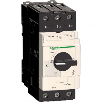 Автоматический выключатель с магнитным расцепителем SCHNEIDER ELECTRIC TESYS 40А (винтовой зажим)